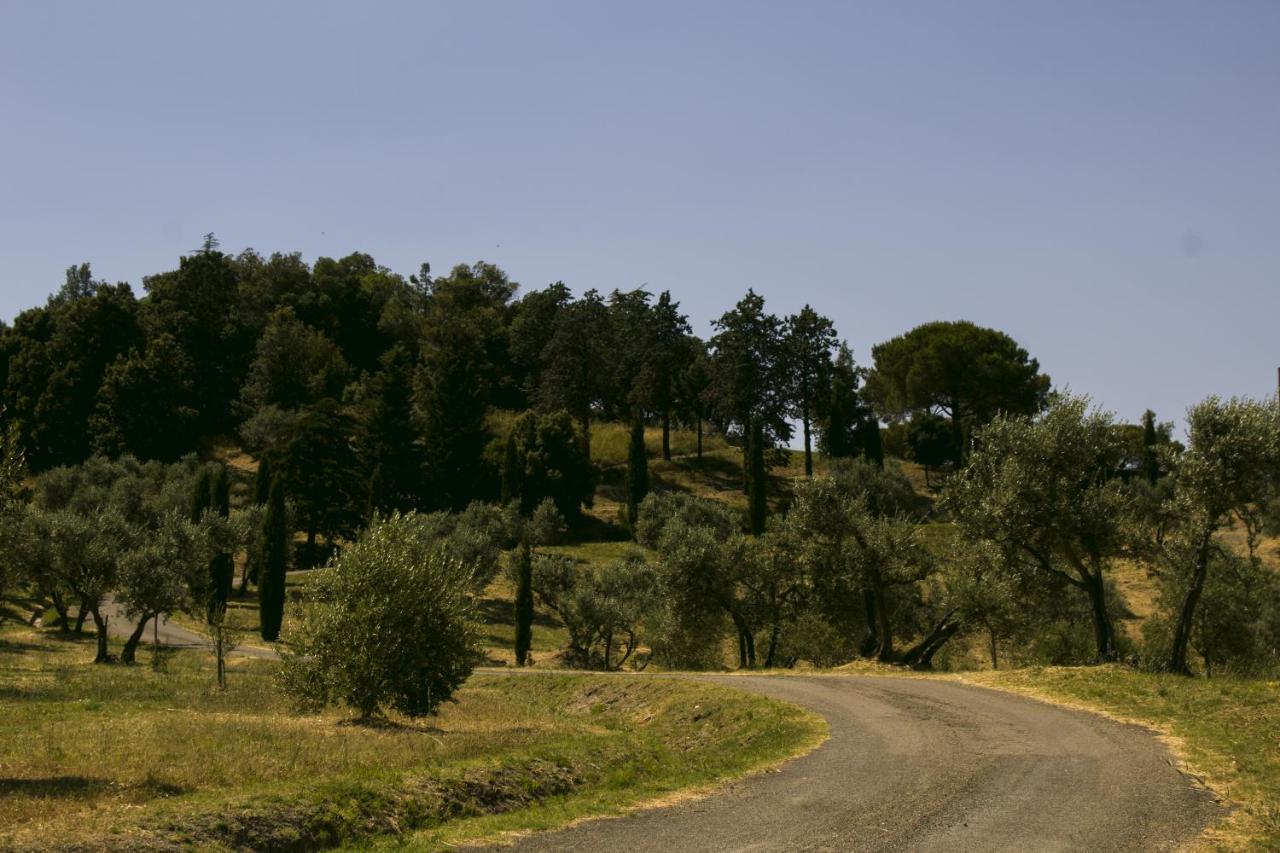 Agriturismo Aia Leccioni Micciano Exterior photo