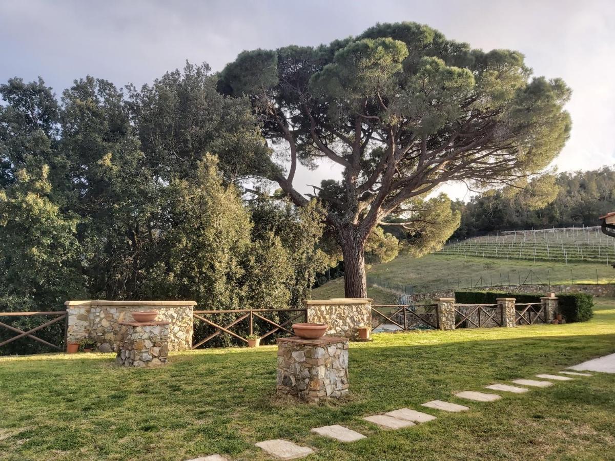 Agriturismo Aia Leccioni Micciano Exterior photo