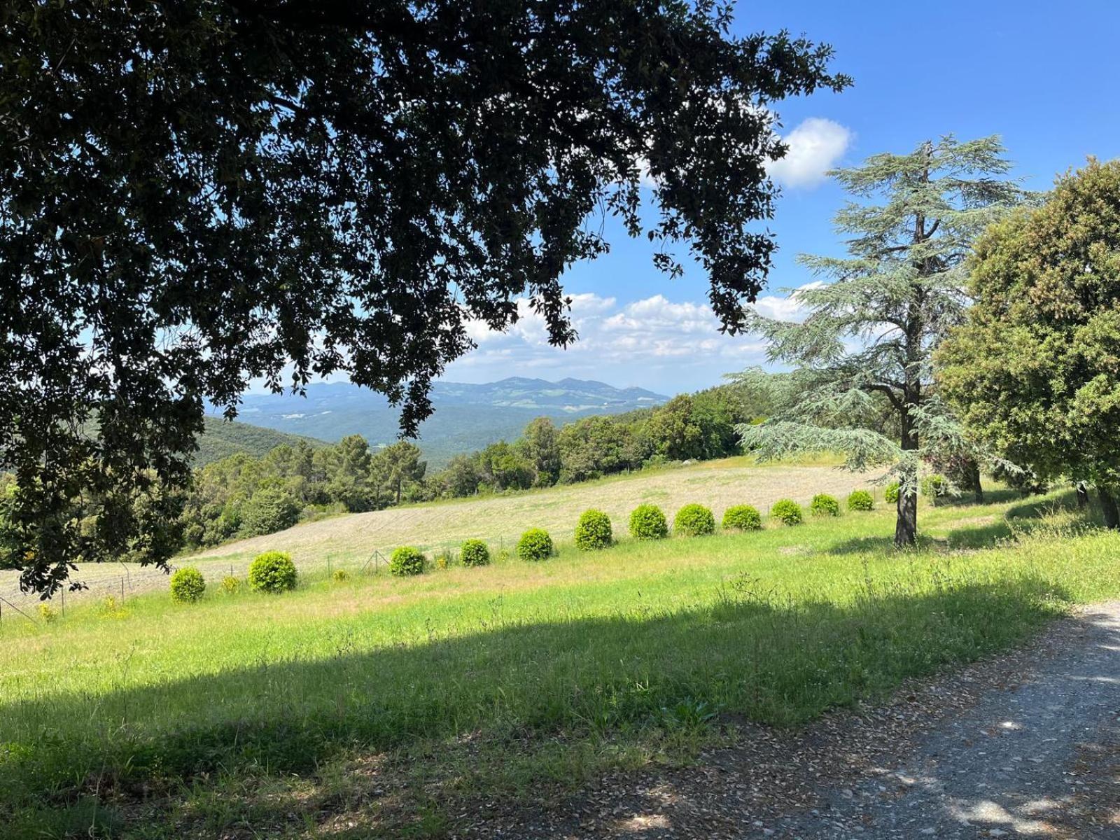 Agriturismo Aia Leccioni Micciano Exterior photo